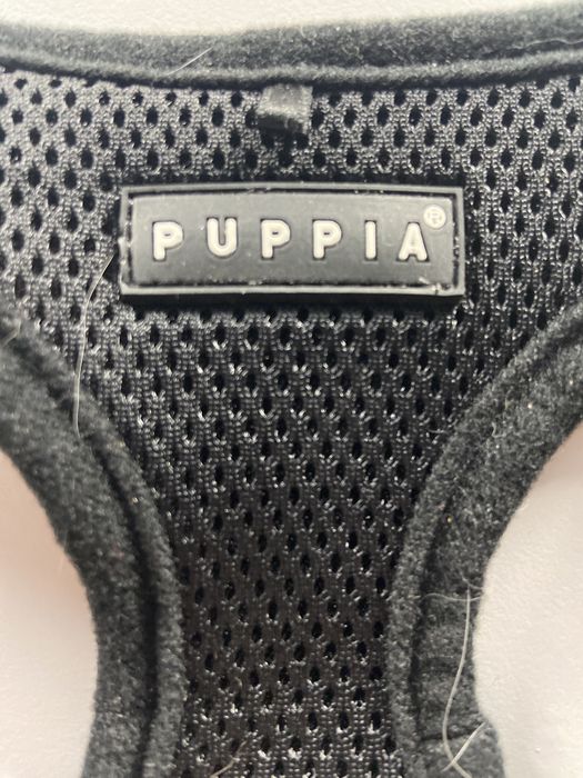 Puppia | Szelki dla psa