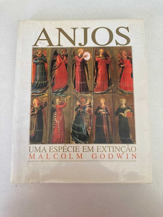 Livro - Anjos: Uma Espécie em Extinção (ctt editorial grátis)