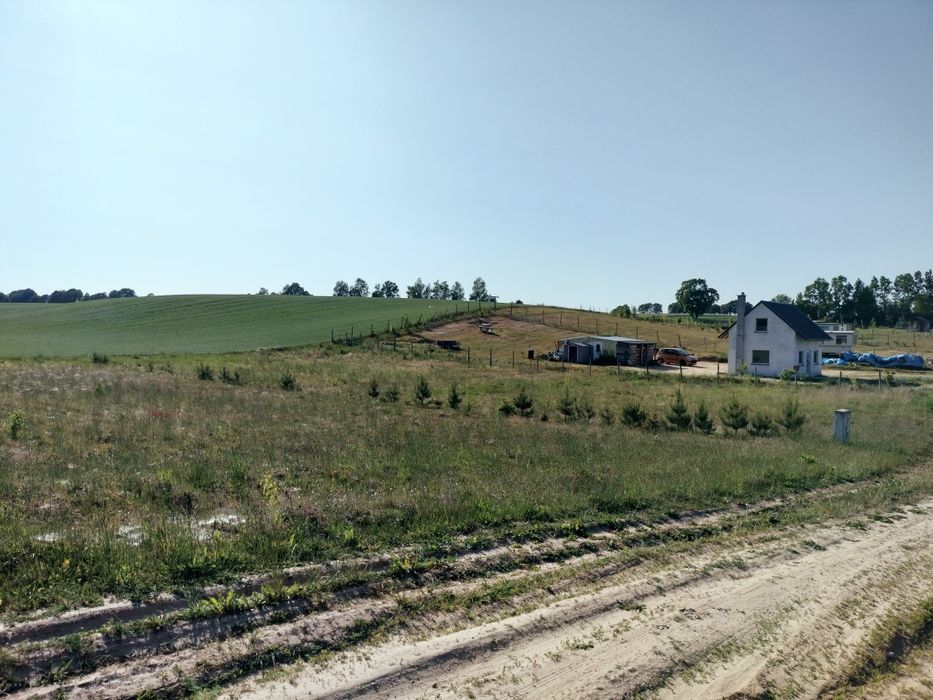 Działka 1500m. w Dzięcielcu