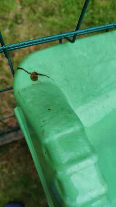 Ślizg zjeżdżalnia