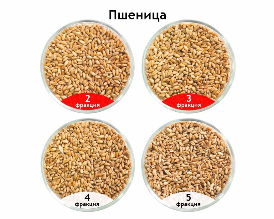 Сепаратор САД-5 и Сепаратор СПО предварительная очистка зерна.