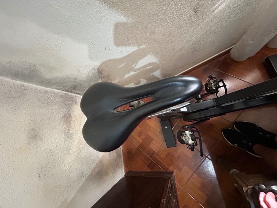 Bicicleta FFittech Platinum (Indoor)