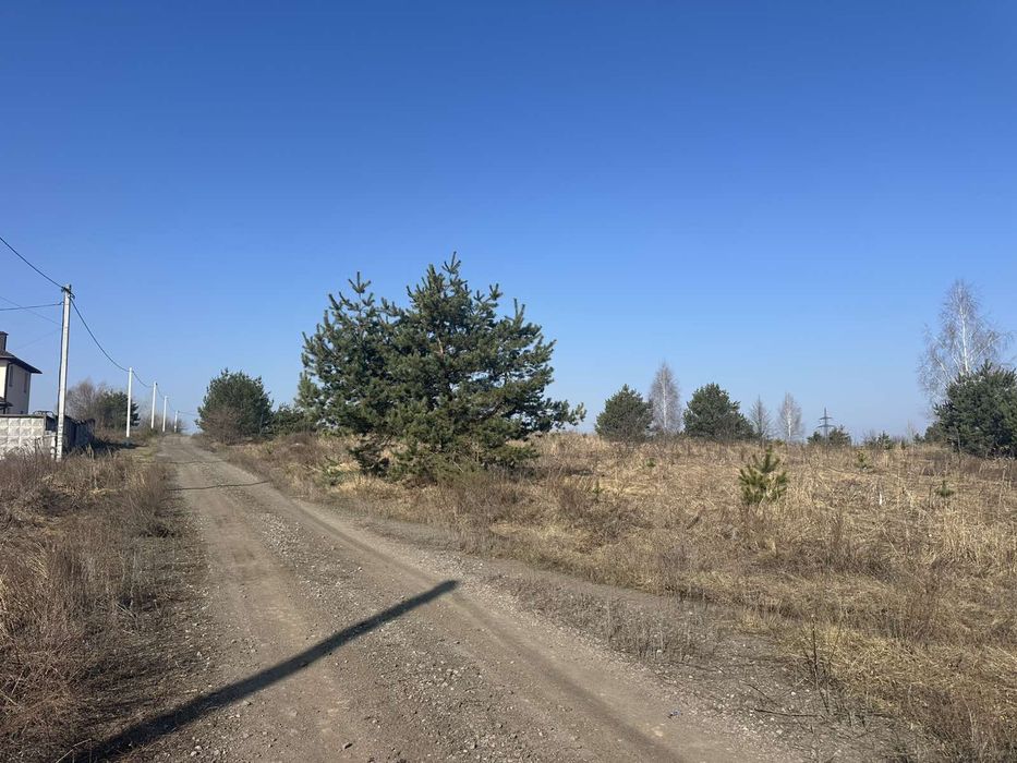 Продається чудова земельна ділянка Липовий Скиток з соснами..