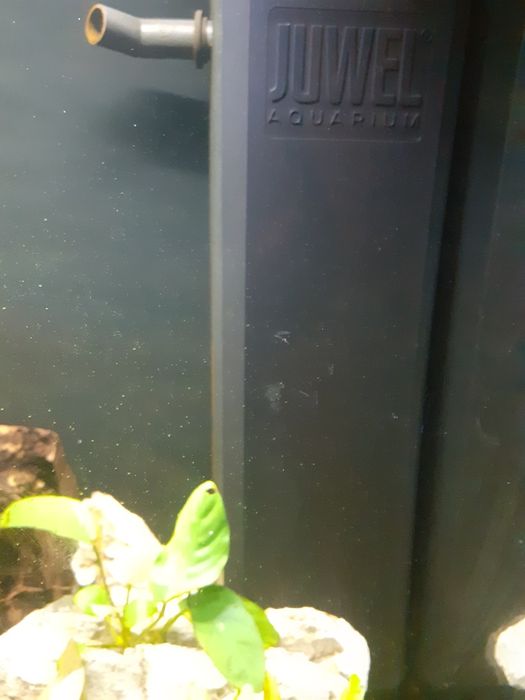Sprzedam akwarium na gwarancji