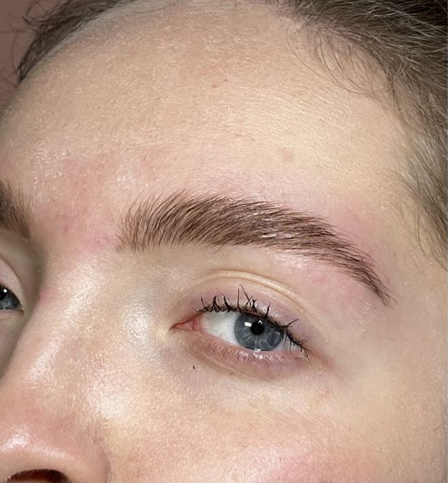 Софіївська борщагівка брови ламінування