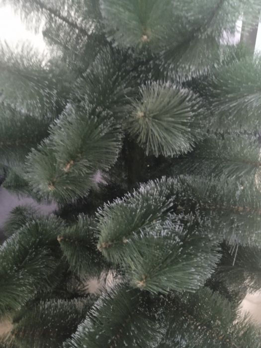 Новогодняя красавица,олх -нет,торг реальный