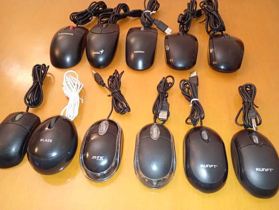 11 Ratos para computador