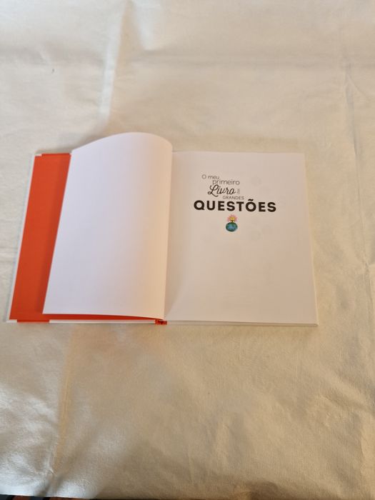 O meu primeiro livro das Grandes Questões. NOVO