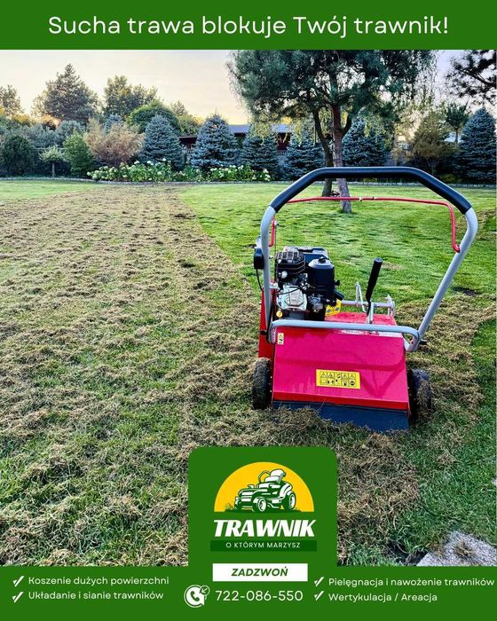 Pielęgnacja trawnika: aeracja, wertykulacja, przycinanie krzewów