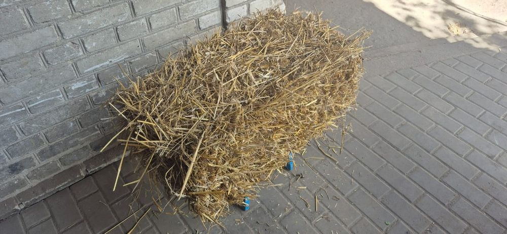 Солома,  тюки готові