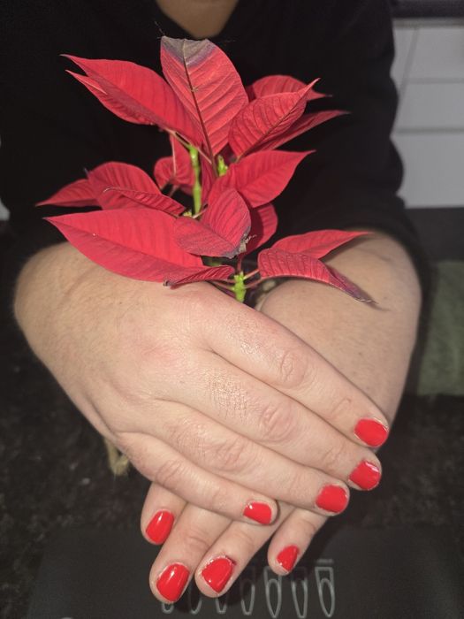 Unhas gelinho ou  polygel