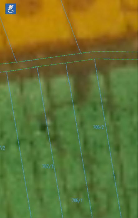 [SPRZEDAM] Prywatny las liściasty 0,65 ha (DĄB, GRAB) – Kłodnica Dolna
