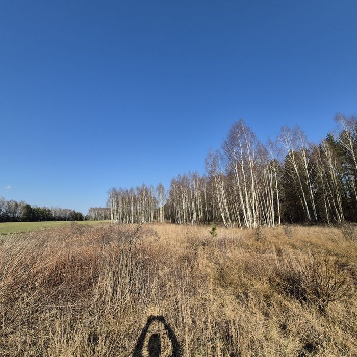 Działka  leśno rolna - Widok 2