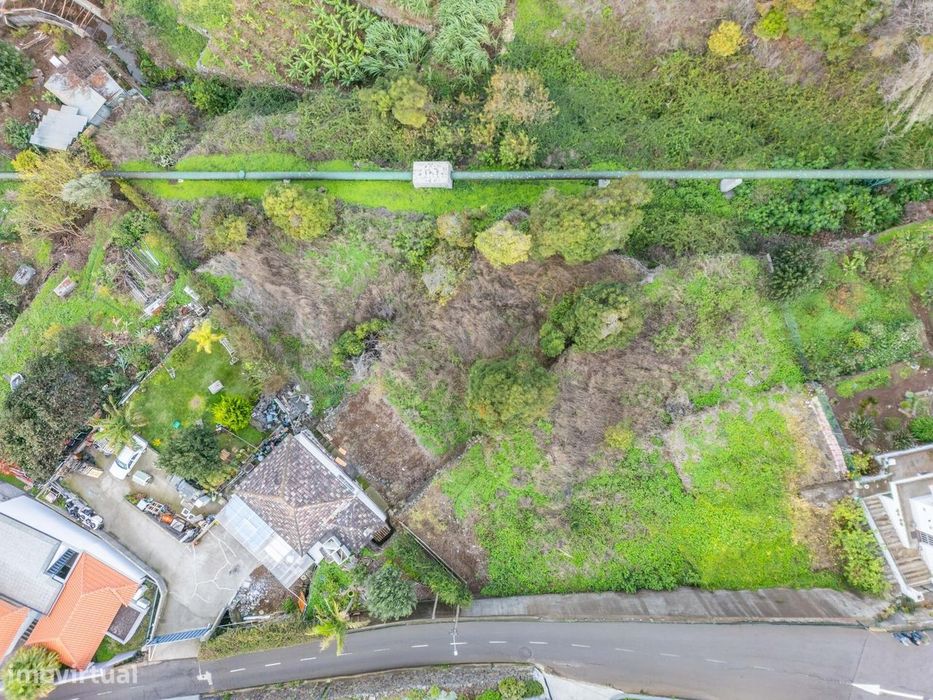 Terreno para construção - Calheta