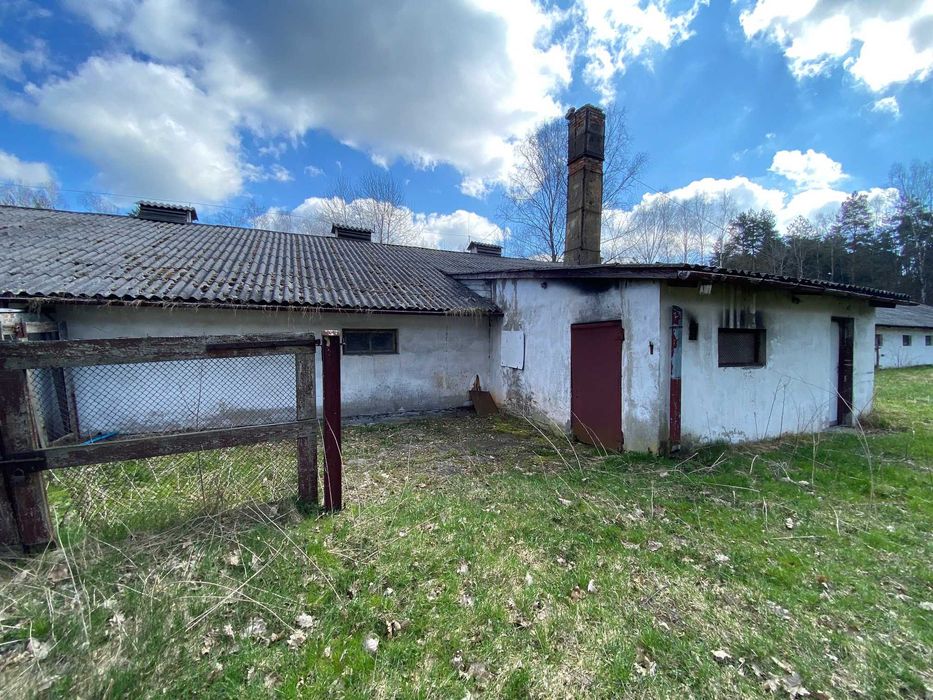 Hala/ Magazyn/ Ferma drobiu 1400 m² działka 2,2 ha. Gospodarstwo rolne - View 4
