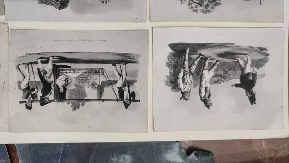 Lote 10 Imagens Litografias  da Obra A History of Madeira