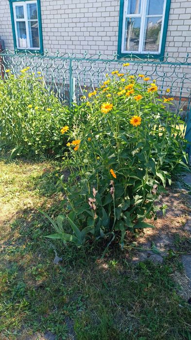 Продам дім на Петрівці, в районі кварталу 304