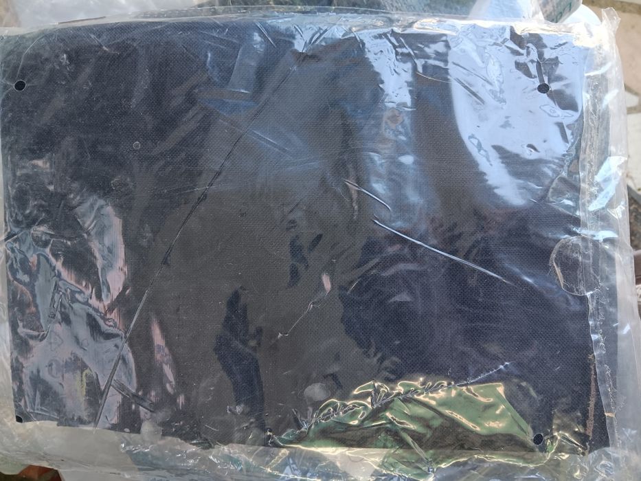 Cobertura de asseguro de carro para cães