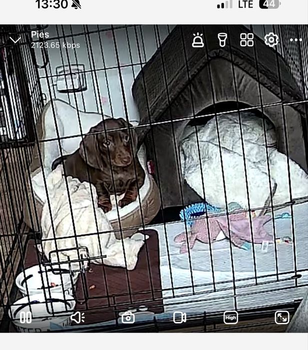 Klatka dla psa metalowa XL ~ Do Fantasy