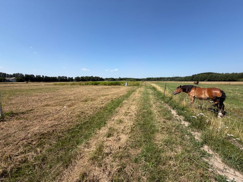 Działka Gajewniki