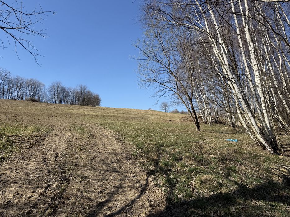 Dzialka z pieknym widokiem przysietnica 97 - Widok 5