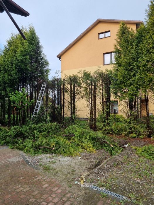 Pielęgnacja ogrodów, koszenie, przycinanie drzewka, koszenie.