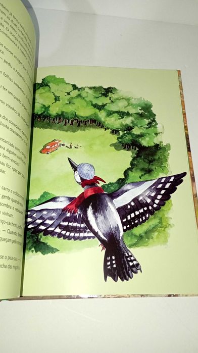 Há fogo na Floresta - Ana Maria Magalhães