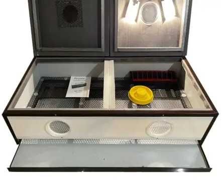 Брудер для курчат БР-100 пластиковий