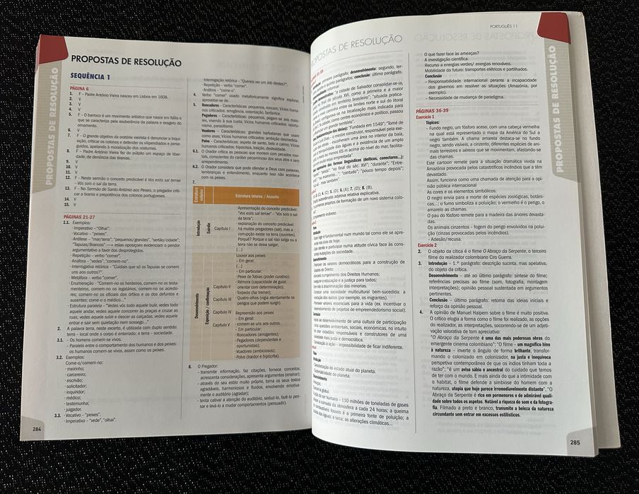 Caderno de atividades / exercícios Preparar os Testes de Português 11.º ano