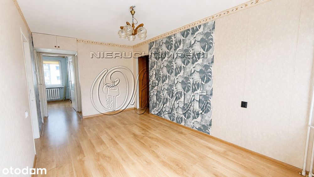 Zdjęcie 2