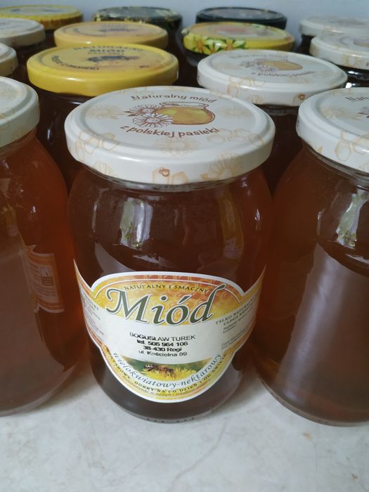 Miód naturalny wiosenny spadziowy