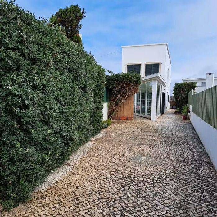 Limpeza terrenos jardins corte árvores