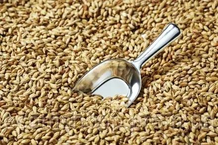 Продаем Солод Базовый Pilsner