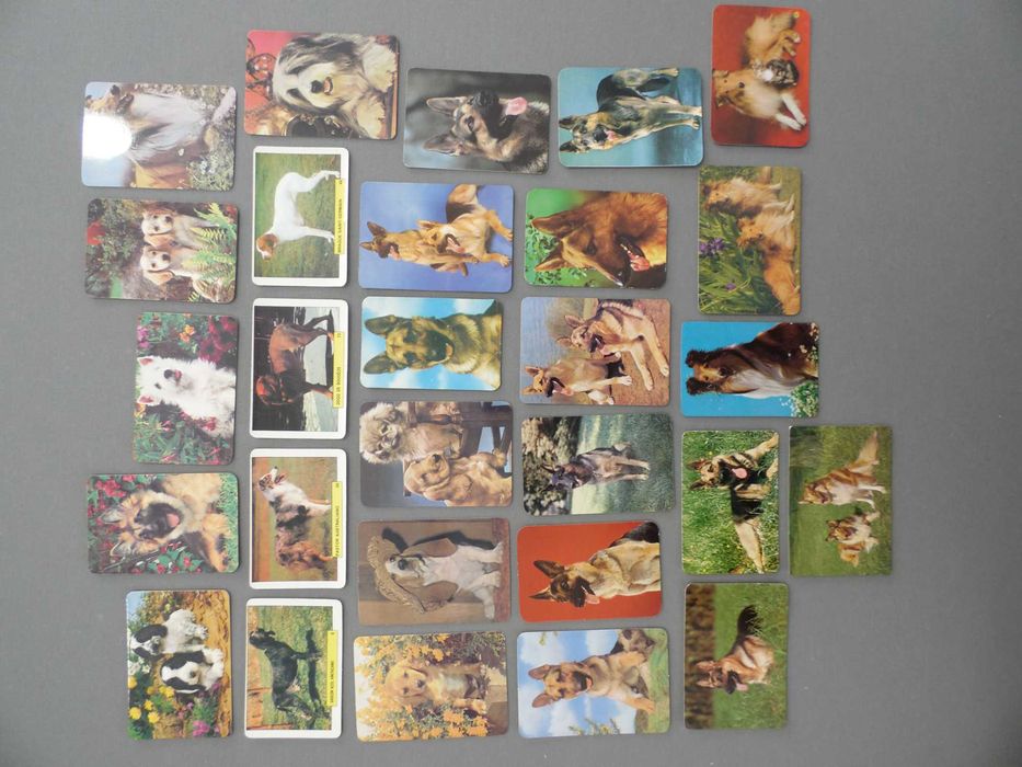 Calendários Cães