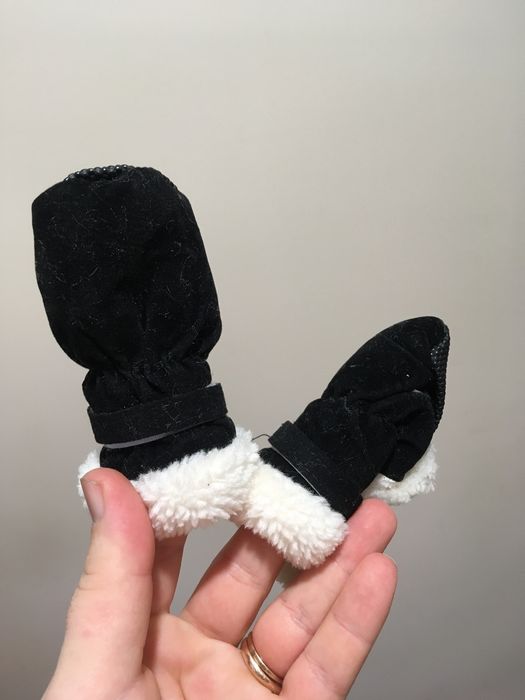 Обувь для собачки.