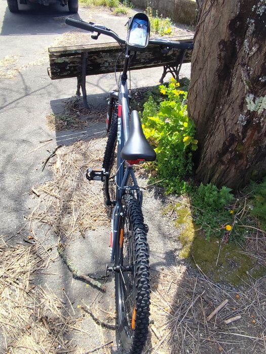 Bicicleta Berg esportiva