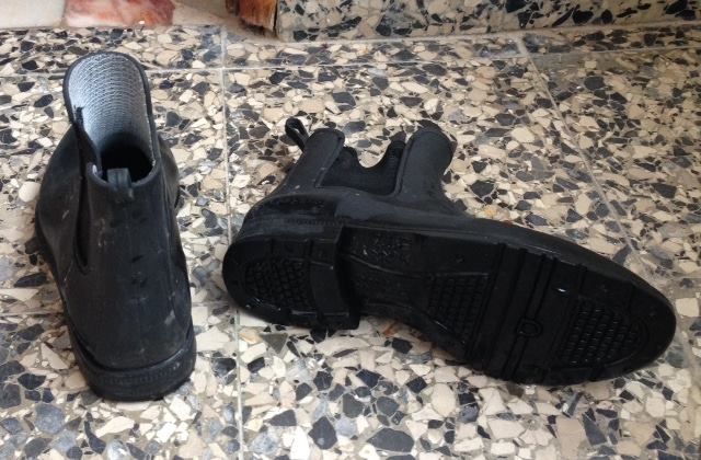 Botins equitação 35