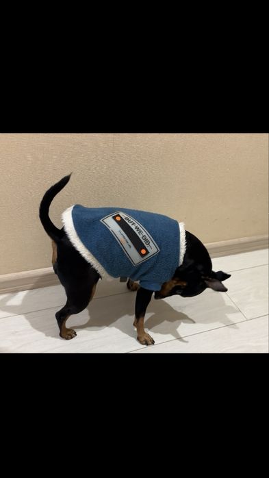 Тепла кофта на собачку 4-5 кг