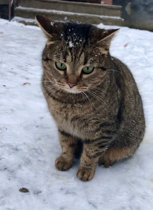Лупатік дівчинка терміново