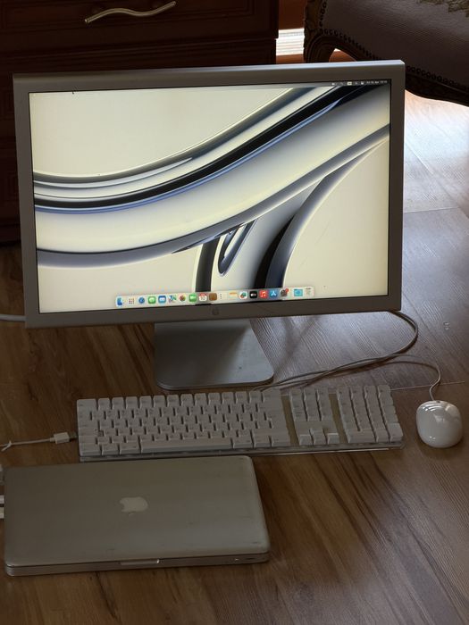 Apple cinema HD display 23 cale