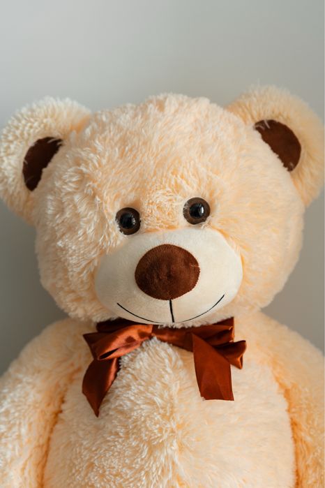 Плюшевий ведмедик від Катерини Репяхової