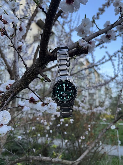Годинник Citizen Promaster Divers Titanium NY0100