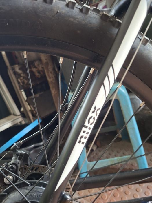 Bicicleta com bacteria da mar a nilox