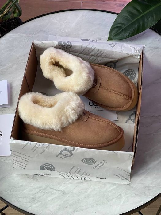 Зимні черевики UGG Coquette Platform Chestnut