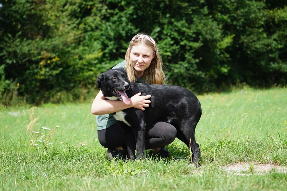 Tyszek - młody, wesoły pies szuka domu