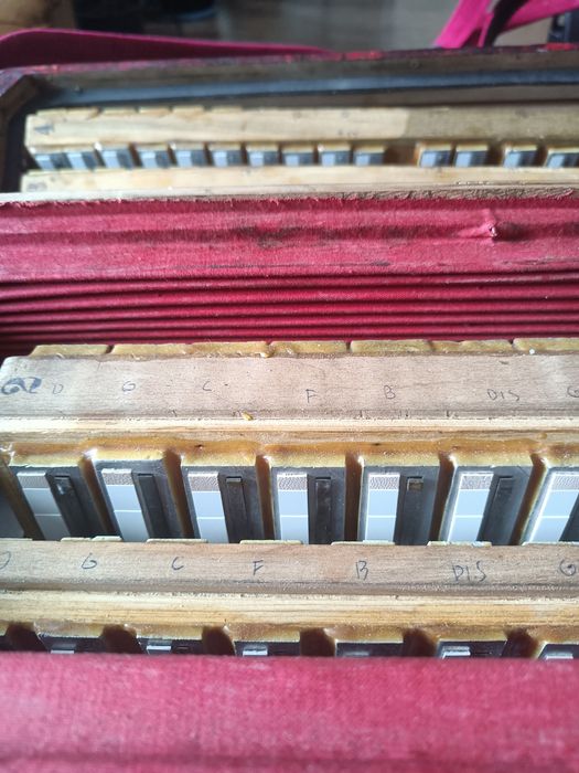 Akordeon Scandalli 120 bas z mussette