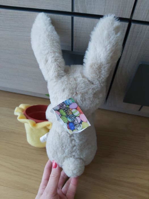 Doniczka z zajaczkiem wielkanocnym gardenic