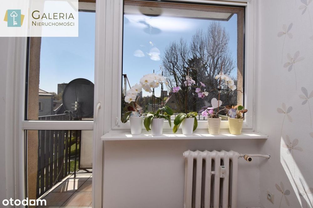 Dwa pokoje, balkon, świetna lokalizacja!