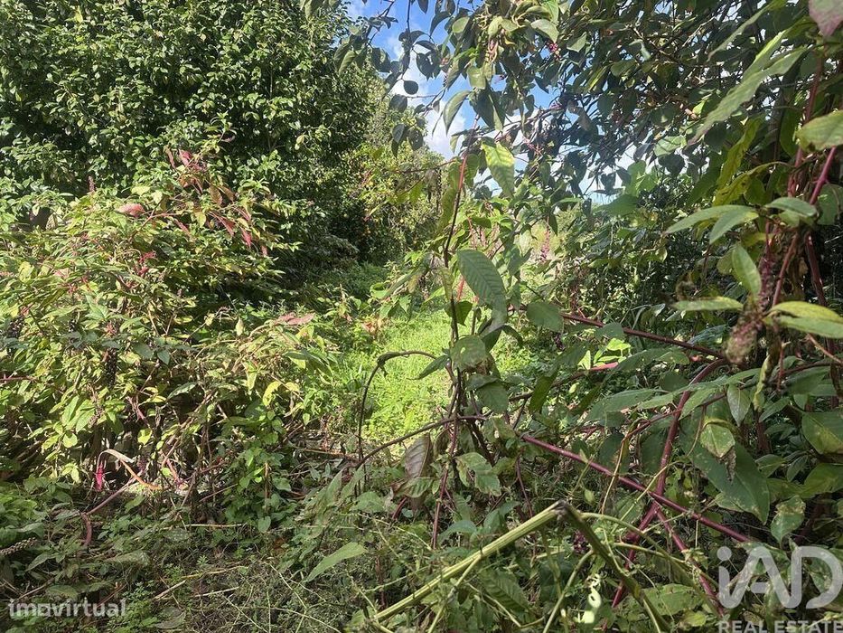 Casa / Villa T2 em Oliveirinha de 143,99 m2