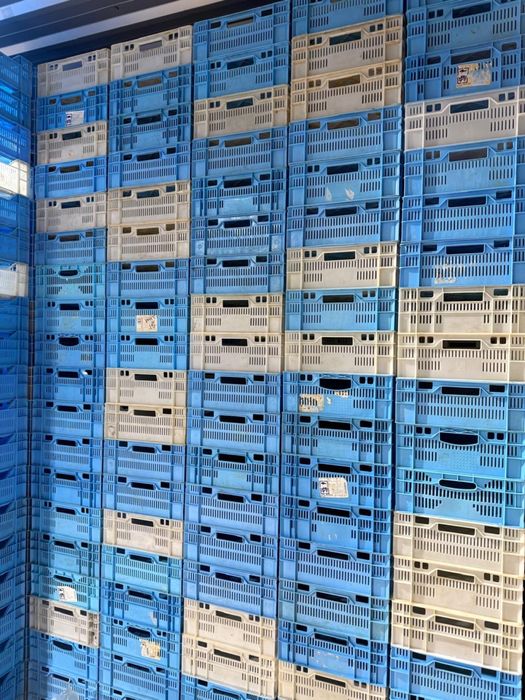 Ящик пластиковий харчовий.